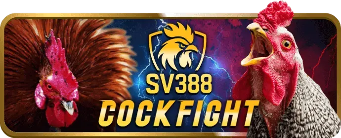 Đội ngũ hỗ trợ khách hàng chuyên nghiệp 24/7 của ava8888 nhà cái
